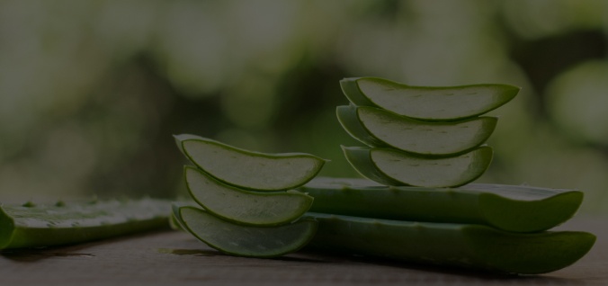 Aloe Barbadensis Leaf Juice