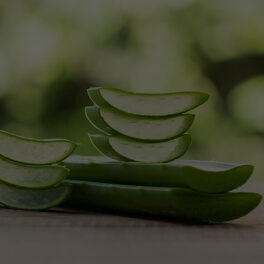 Aloe Barbadensis Leaf Juice