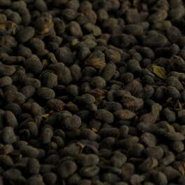 Psoralea Corylifolia (Babchi) Seed Oil