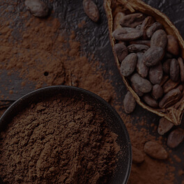 Theobroma Cacao Seed Butter