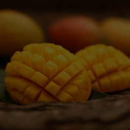 Mangifera Indica (Mango) Seed Butter