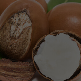 Butyrospermum Parkii (Shea) Butter