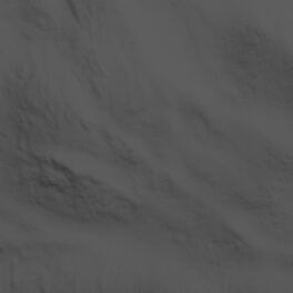 Sodium Alginate