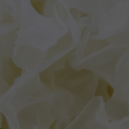 Tremella Fuciformis Extract